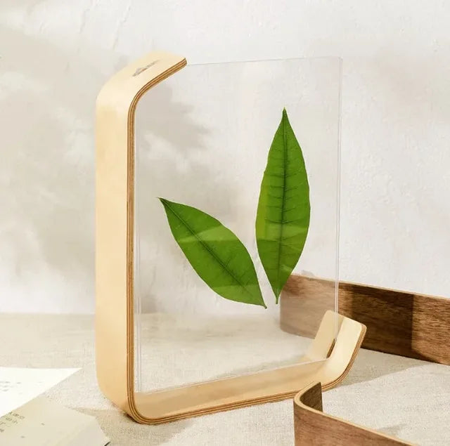 DIY Acrylic Wooden Photo Frame With Hd Glass Sided Frame Herbarium Display Frame For Wedding Party Picture Frame Photo Decor